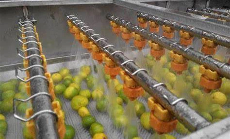 Vegetable & fruits cleaning (001)